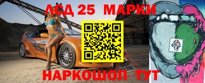 apvp Кингисепп