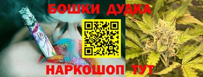 apvp Кингисепп