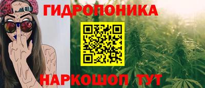 apvp Кинель