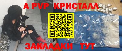 apvp Кингисепп