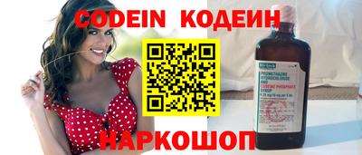 apvp Кингисепп