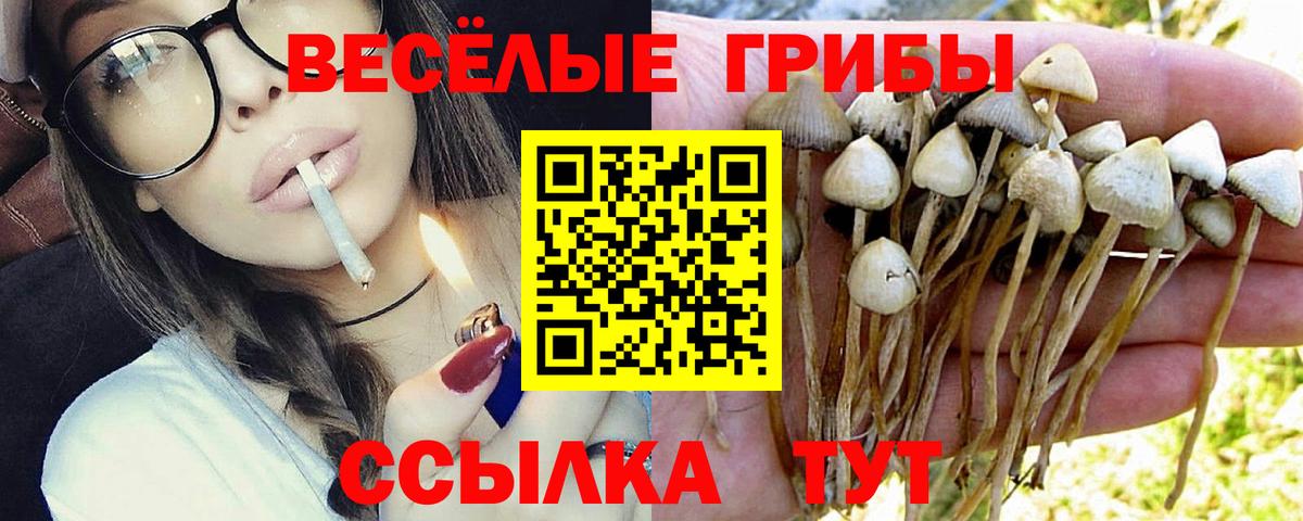 Псилоцибиновые грибы мухоморы Краснокаменск
