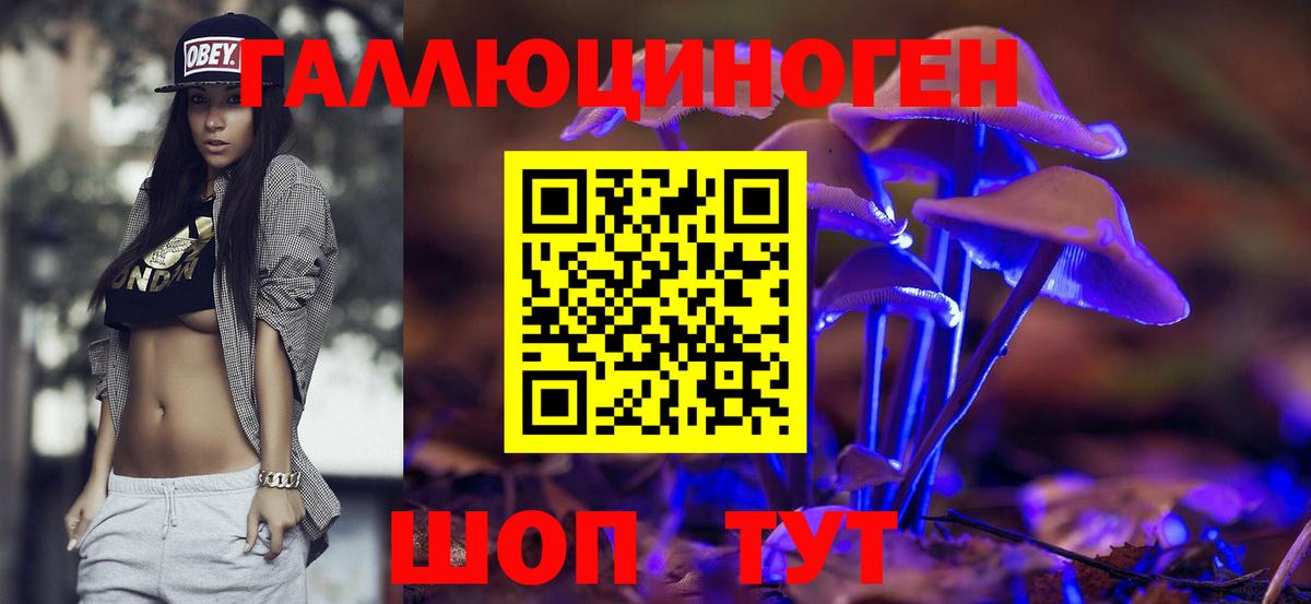 Галлюциногенные грибы Psilocybe  Вход с VPN  Краснокаменск 