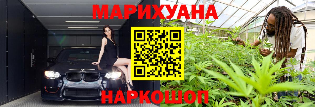 Конопля гибрид Краснокаменск